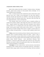 AB "Lietuvos draudimas" organizacinė valdymo struktūra 3 puslapis