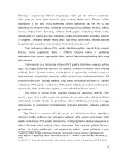 AB "Lietuvos draudimas" organizacinė valdymo struktūra 8 puslapis