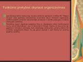 AB “ Vilnius Pergalė “ prekybos skyriaus veiklos tobulinimas. 11 puslapis