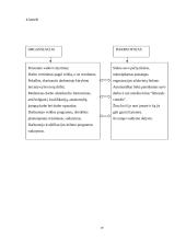 Praktikos ataskaita AB "Vilniaus Pergalė" 19 puslapis