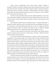 Praktikos ataskaita AB "Vilniaus Pergalė" 4 puslapis