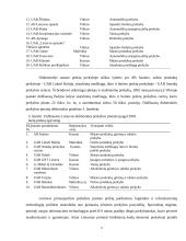 Praktikos ataskaita AB "Vilniaus Pergalė" 6 puslapis