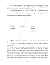 Praktikos ataskaita AB "Vilniaus Pergalė" 10 puslapis