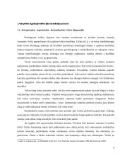 Antraprėninės  organizacijos  kultūros  įtaka  3 puslapis