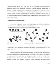 Antraprėninės  organizacijos  kultūros  įtaka  10 puslapis