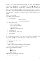 Chris Argyris mokslinės idėjos verslo organizacijoje  12 puslapis