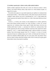 Chris Argyris mokslinės idėjos verslo organizacijoje  13 puslapis