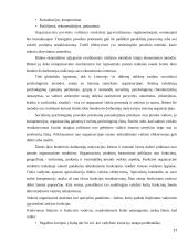 Žemės ūkio bendrovės darbuotojų motyvavimo sistemos modelis  16 puslapis