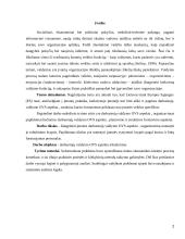 Darbuotojų valdymo tobulinimas OVS aspektu 2 puslapis