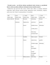 Darbuotojų valdymo tobulinimas OVS aspektu 9 puslapis