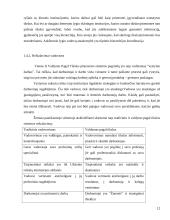 Funkcinė valdymo struktūra įmonėje 12 puslapis