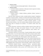 Funkcinė valdymo struktūra įmonėje 19 puslapis