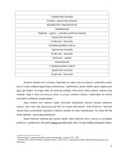 Funkcinė valdymo struktūra įmonėje 4 puslapis