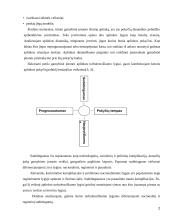 Gamybinės įmonės strateginis valdymas 2 puslapis