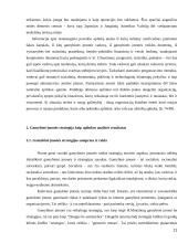 Gamybinės įmonės strateginis valdymas 11 puslapis
