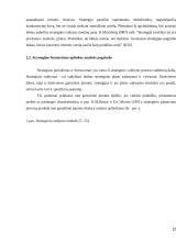 Gamybinės įmonės strateginis valdymas 12 puslapis