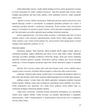 Gamybinės įmonės strateginis valdymas 17 puslapis