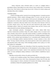 Gamybinės įmonės strateginis valdymas 19 puslapis