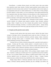 Gamybinės įmonės strateginis valdymas 3 puslapis