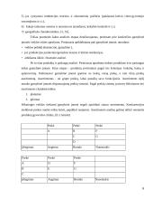 Gamybinės įmonės strateginis valdymas 6 puslapis