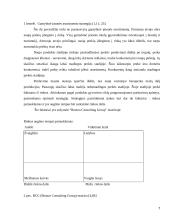 Gamybinės įmonės strateginis valdymas 7 puslapis