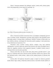 Gamybinės įmonės strateginis valdymas 9 puslapis