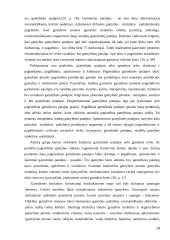 Gamybinės įmonės valdymas. Diplominis darbas 19 puslapis