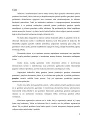 Gamybinės įmonės valdymas. Diplominis darbas 3 puslapis